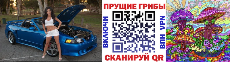 Галлюциногенные грибы GOLDEN TEACHER  Гулькевичи 